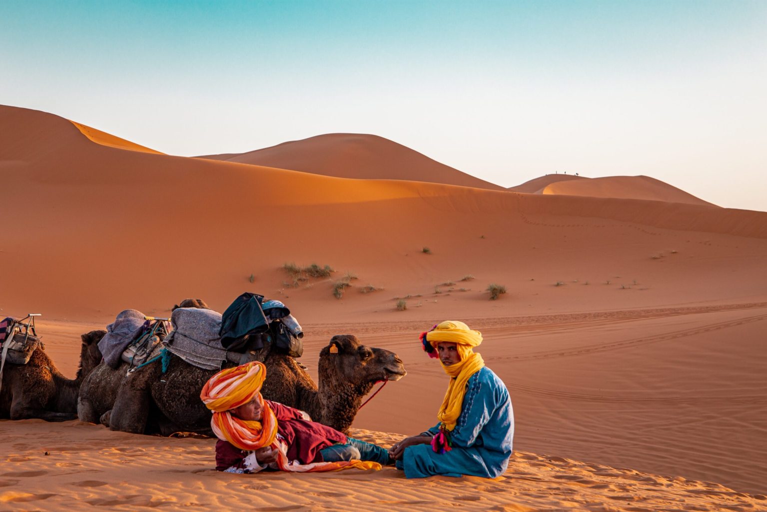 Moroccan desert life